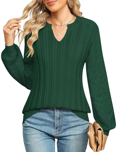 Micoson Womens Sweaters Long Sleeve Knit Pullover V Neck Jumper Tops