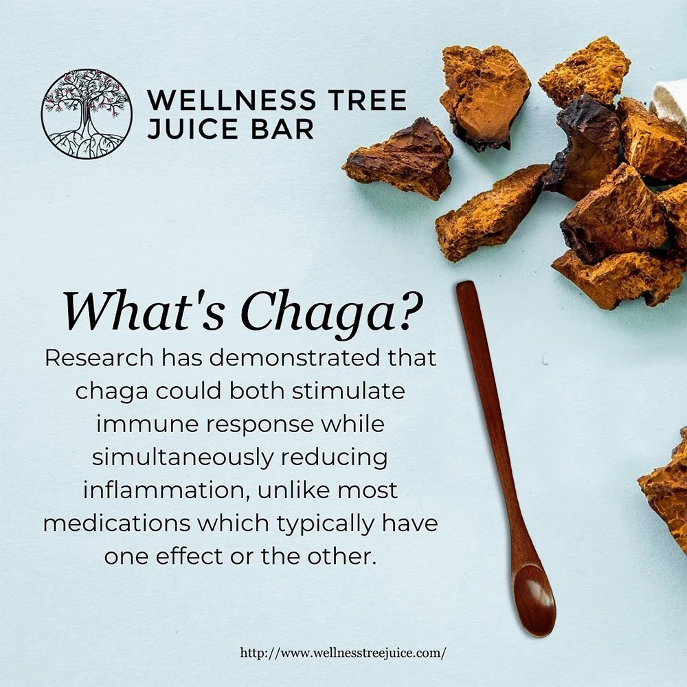 Organic Mushroom Coffee helps Digestion and Energy - 1 Pack - Image 5